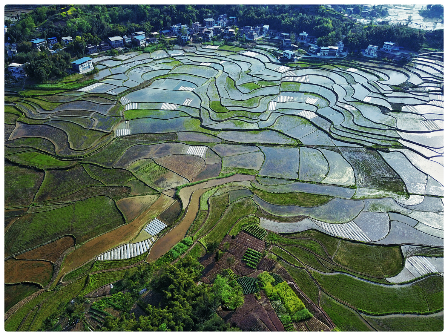 甘棠梯田